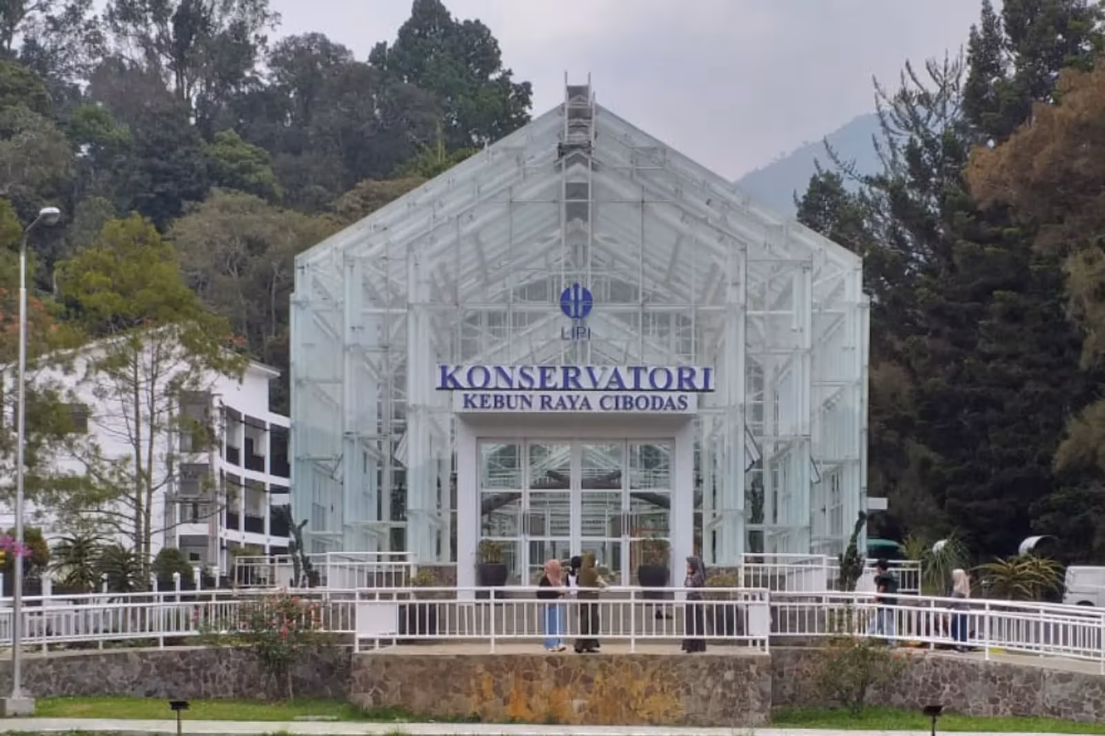 Tempat Wisata Cianjur Kebun Raya Cibodas